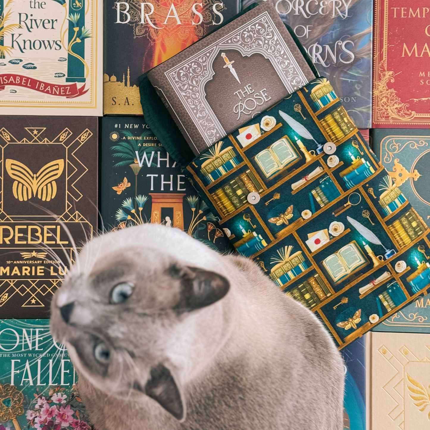 Dark Academia (teal) padded book sleeve