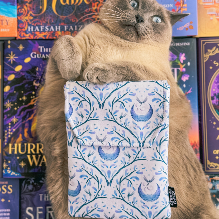 Fairytale padded e-reader sleeve