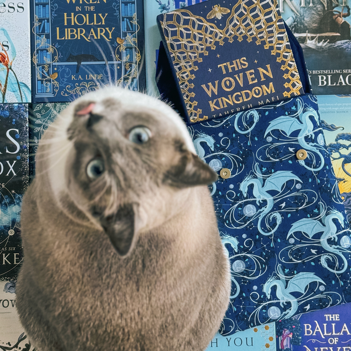 Moonplume Dragon padded book sleeve (When The Moon Hatched)