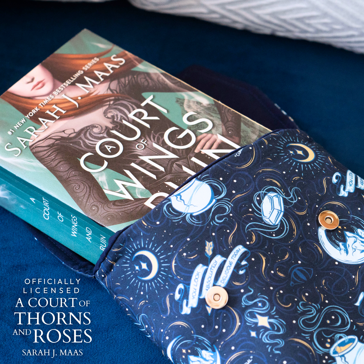 A Court of Thorns and Roses padded book sleeve