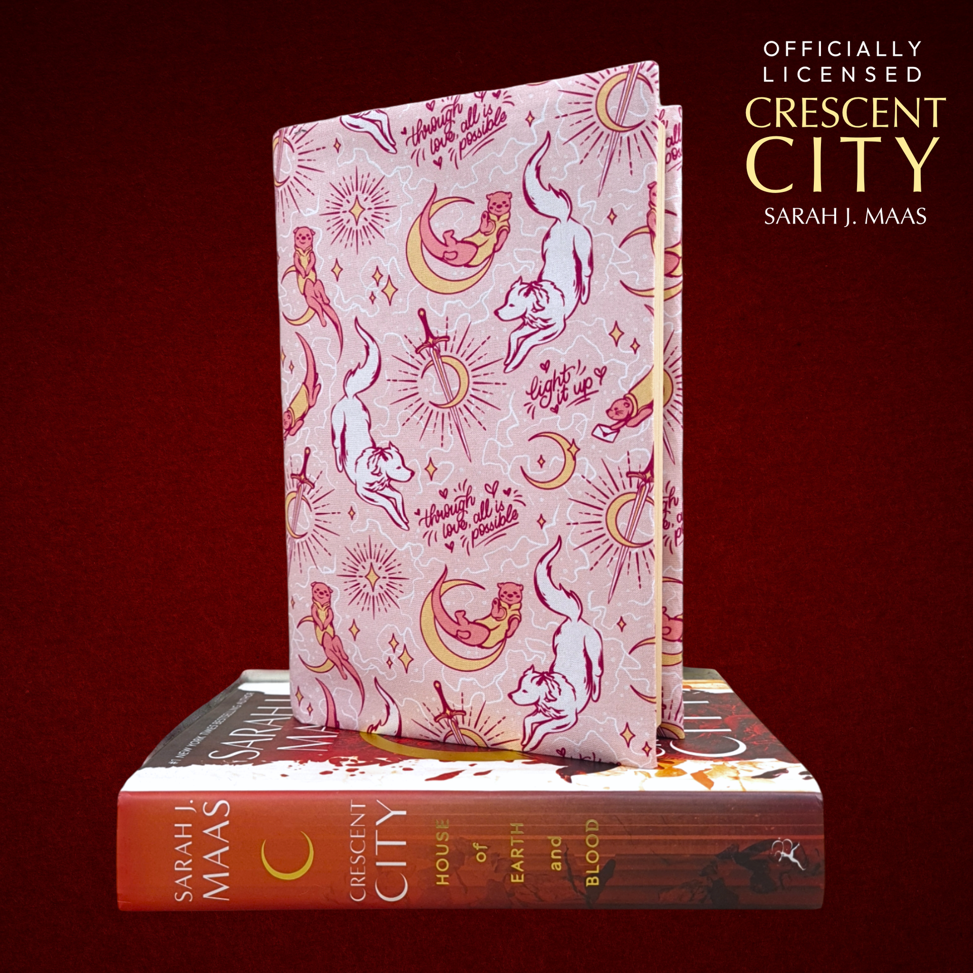 【洋書】PROJECT ON THE CITY 2 ハードカバー Crescent City fabric dust jacket – Charlie and Fox