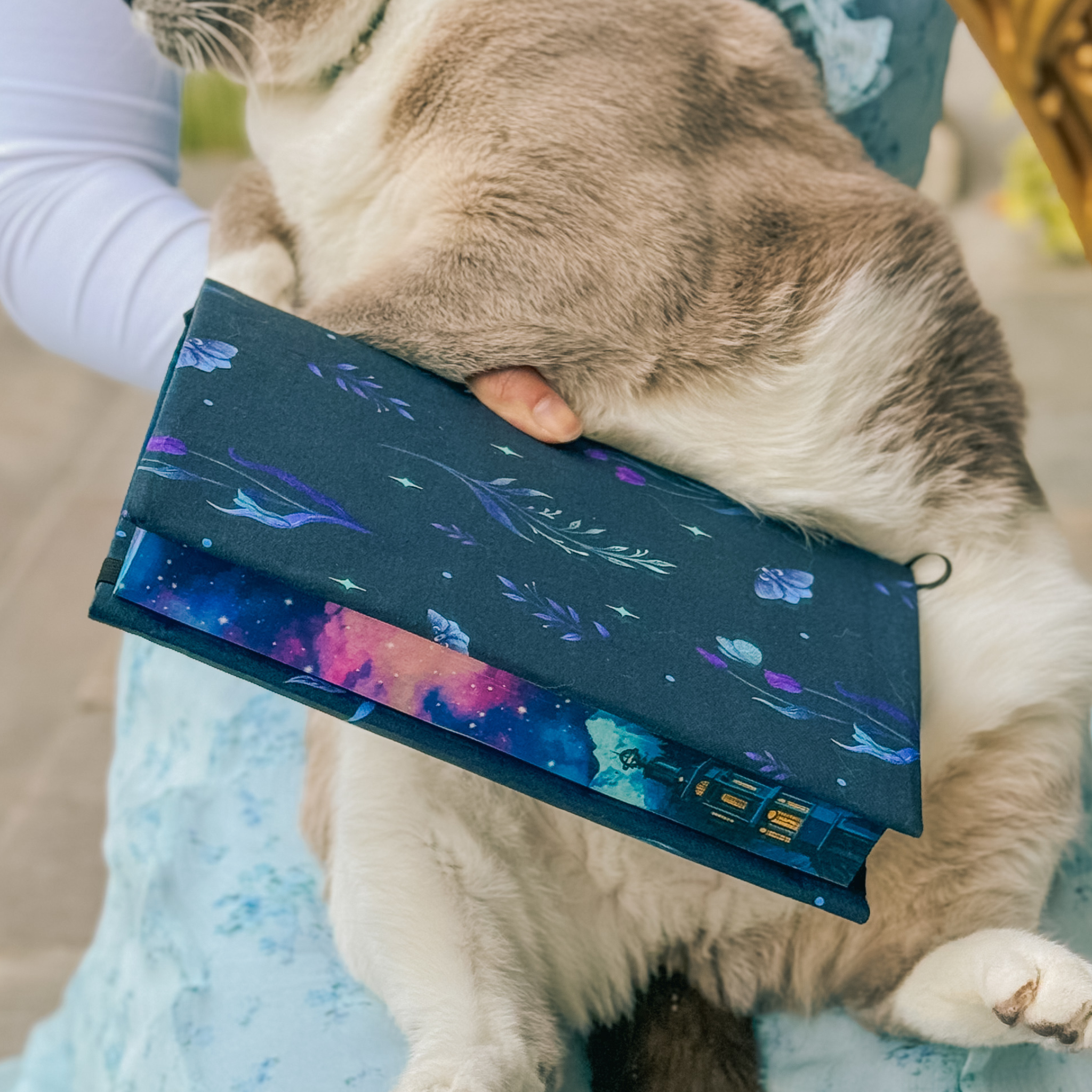 Under the Moon fabric dust jacket | Charlie and Fox