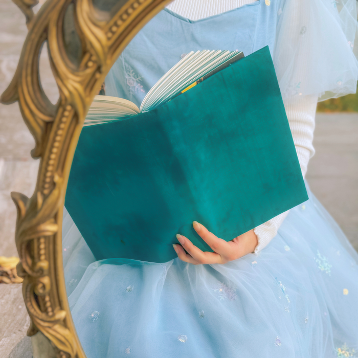 Wonderland in Teal fabric dust jacket