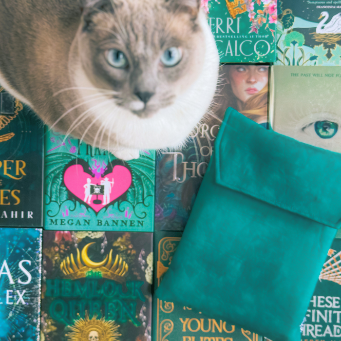 Wonderland in Teal padded book sleeve